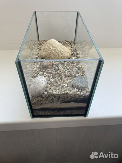 Ваза для флорариума