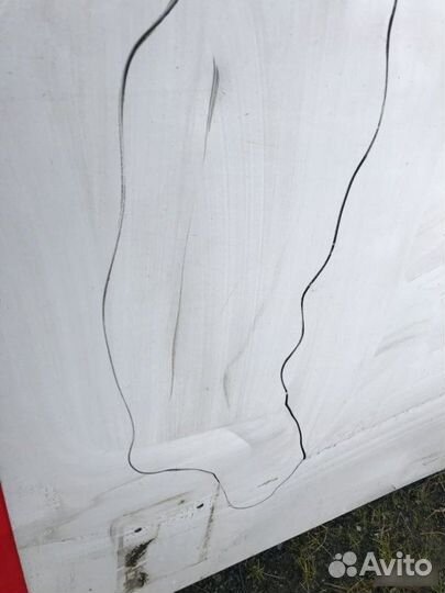 Дверь распашная на фургон