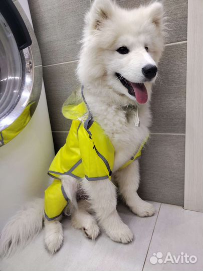 Дождевик для собак