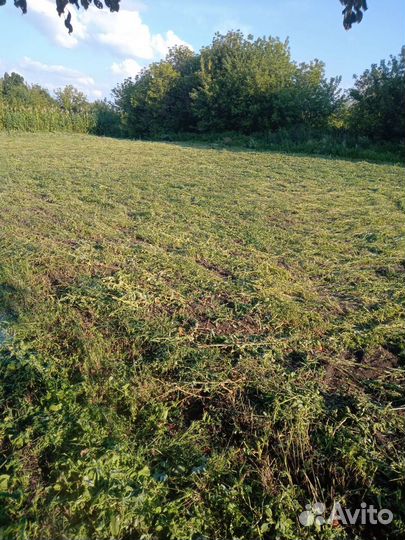 Грунт плодородная земля