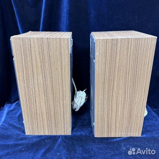 Акустическая система S-30B Колонки Радиотехника