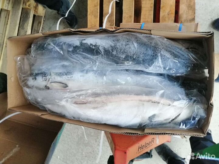 Рыба (красная) лососёвых пород 1 сорт