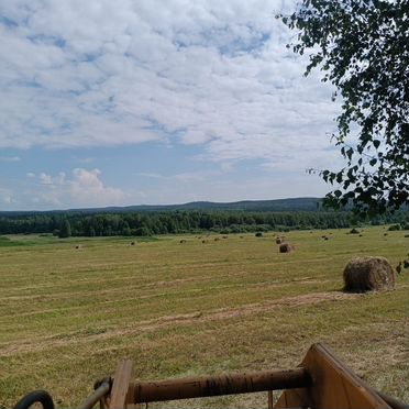 Сено в рулонах