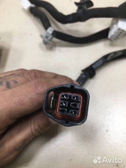 Электропроводка передней правой двери