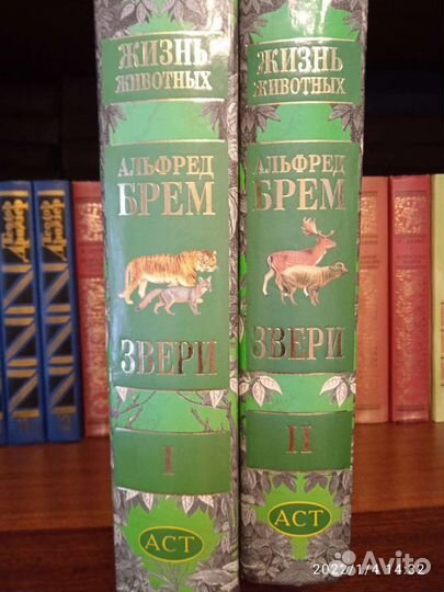 Книги и справочники