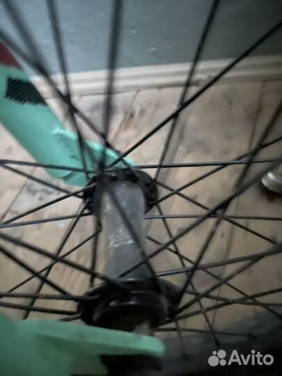 BMX Eastern cobra