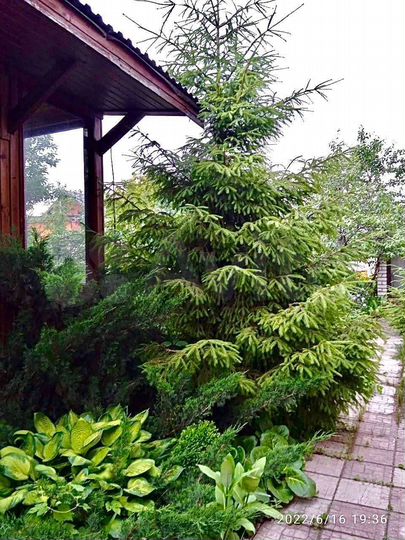 Дом 46,8 м² на участке 4,82 га