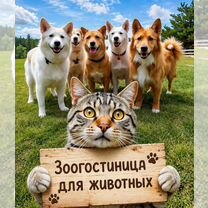 Пансион/Передержка для животных, Алчевск