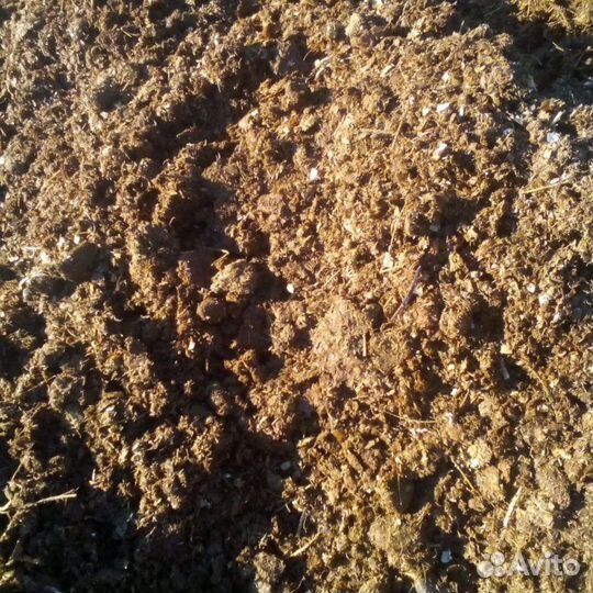 Конский навоз