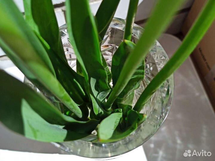 Ваза хрустальная для цветов СССР