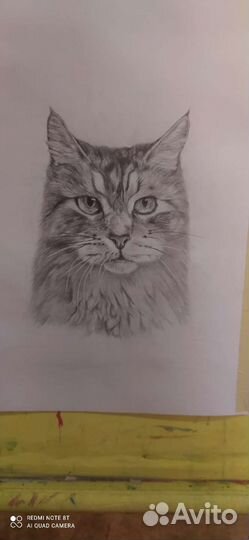 Рисунки на заказ