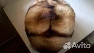 Шапка хорек