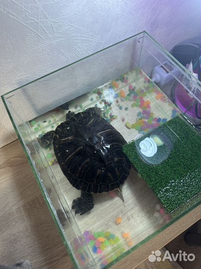 Продаю либо обмениваю аквариум