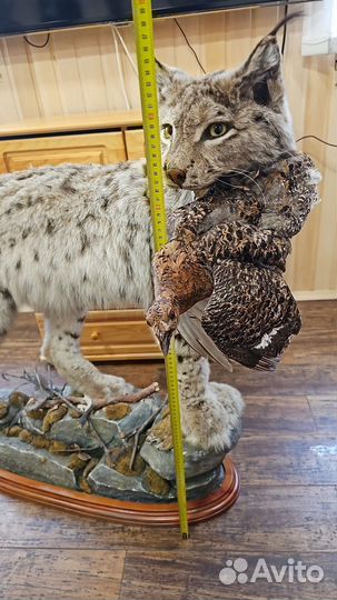Чучело рысь в полный рост имитация