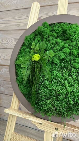 Панно из стабилизированного мха