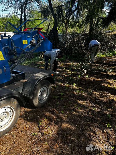 Измельчитель веток щепорез аренда