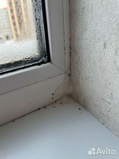 Москитные сетки на окна изготовление и установка