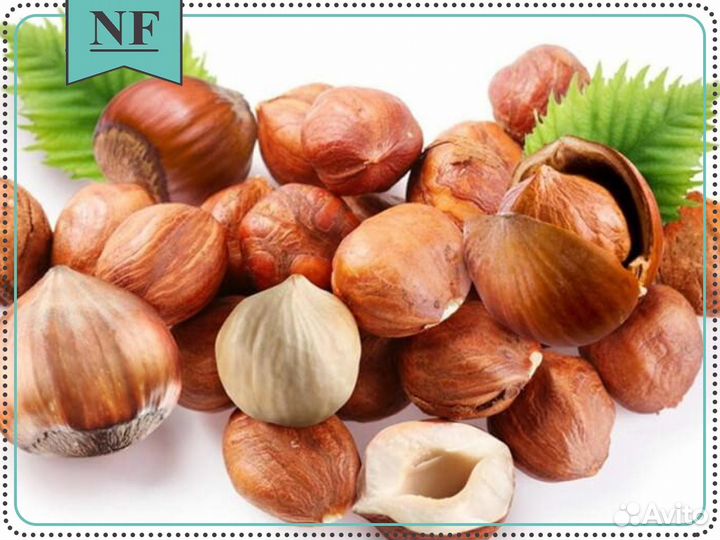 Фундук бланшированный - оптом и в розницу