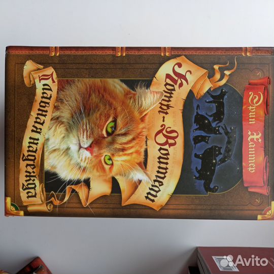 Книги коты воители