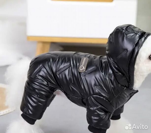 Одежда для собак