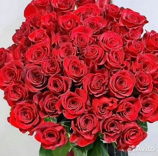 Высокие Розы с Доставкой