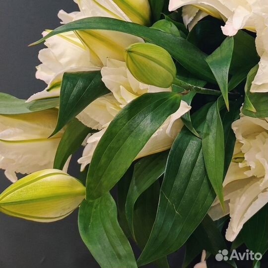 Лилия цветы букеты