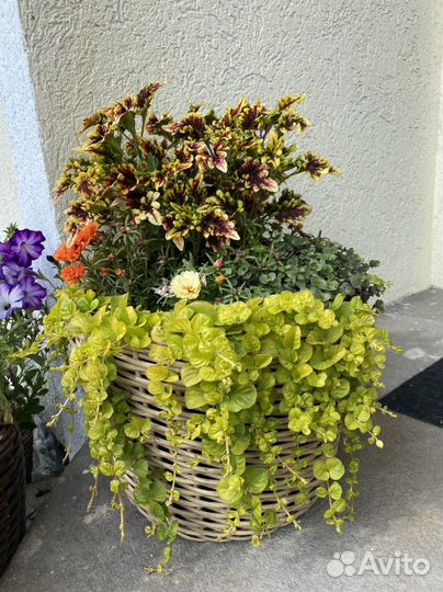 Кашпо из ротанга