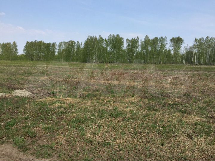 Участок 10,2 сот. (СНТ, ДНП)