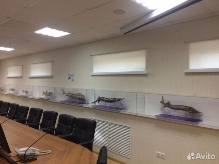 Горизонтальные жалюзи V65573-D1596