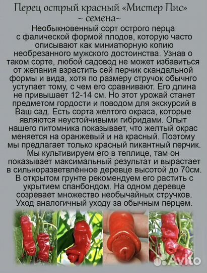 Перец Мистер Пис, Чилли Вилли Petr Pepper