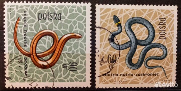 Редкие марки Польши прошлого века (обмен)