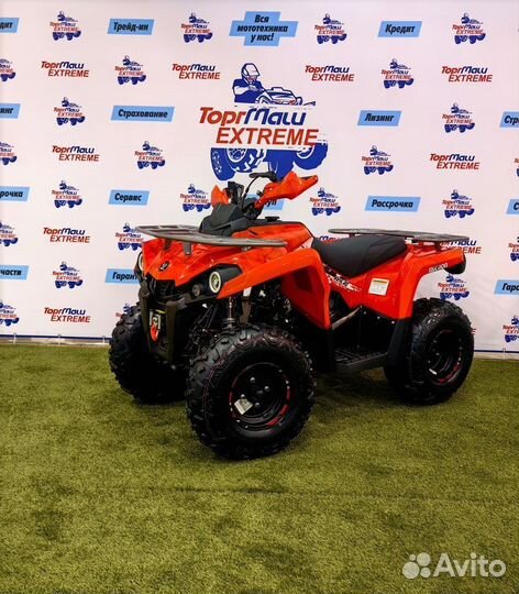 Квадроцикл Mikilon Hammer 200L Pro-R