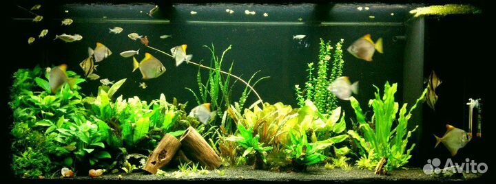 Светодиодный светильник для аквариума Cyrex LED 4F