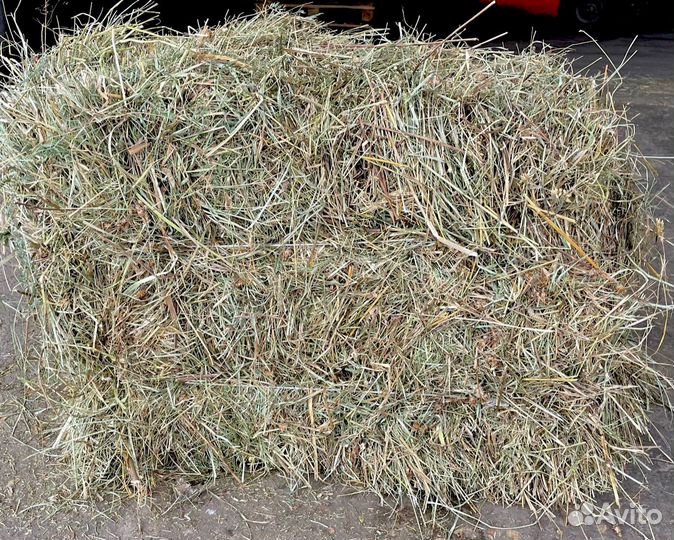 Сено, Сено в кипах и рулонах