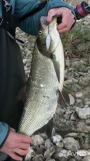 Блесны на жереха, судака