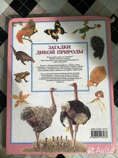 Книга загадки дикой природы