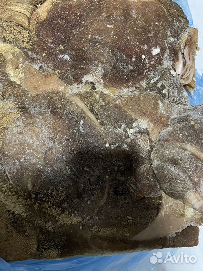 Мясо для собак