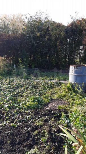 Участок 6 сот. (ИЖС)