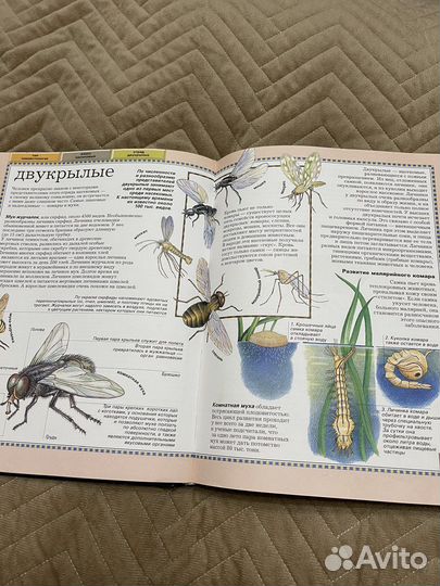 Большая энциклопедия