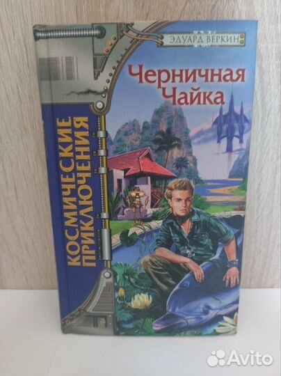 Черничная чайка