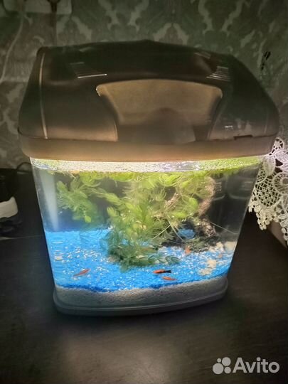 Аквариум