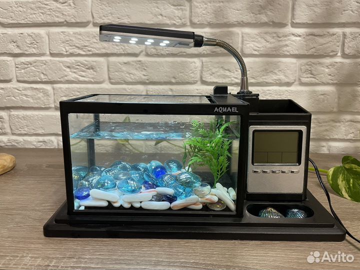 Аквариум
