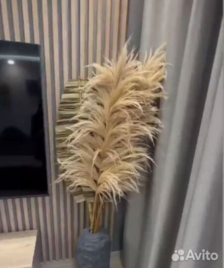 Цветы сухоцветы