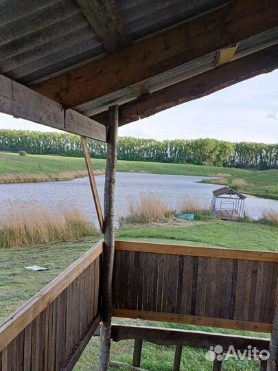 Платная рыбалка воронеж