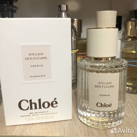 Chloe cedrus оригинал распив