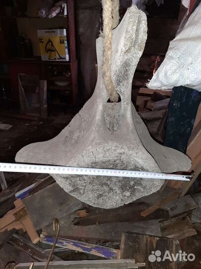 Древняя кость (позвонок)