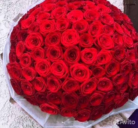 101 тюльпан Букеты Цветы