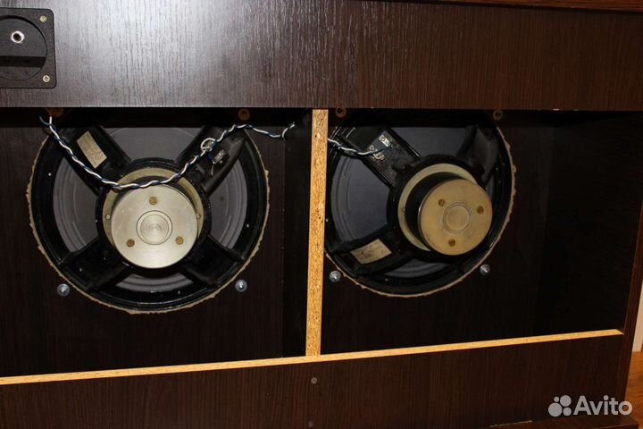 Динамики кинап