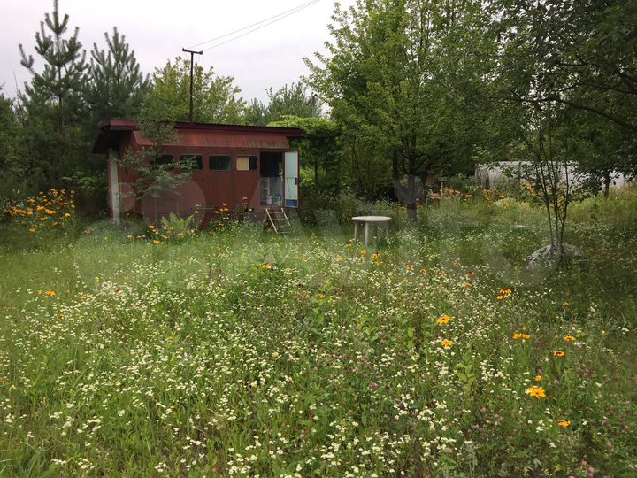 Участок 12 сот. (СНТ, ДНП)