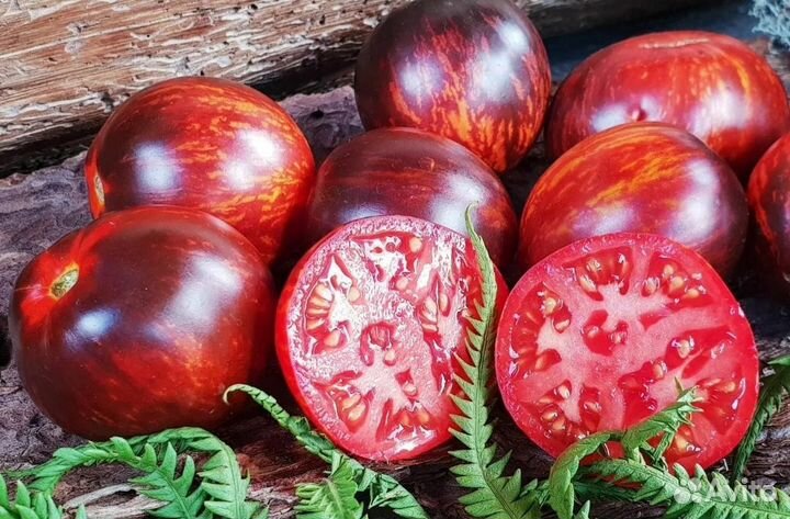 Томат Гаргамель семена